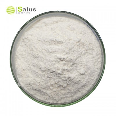 High Quality MSM Powder Methyl Sulfonyl Methane